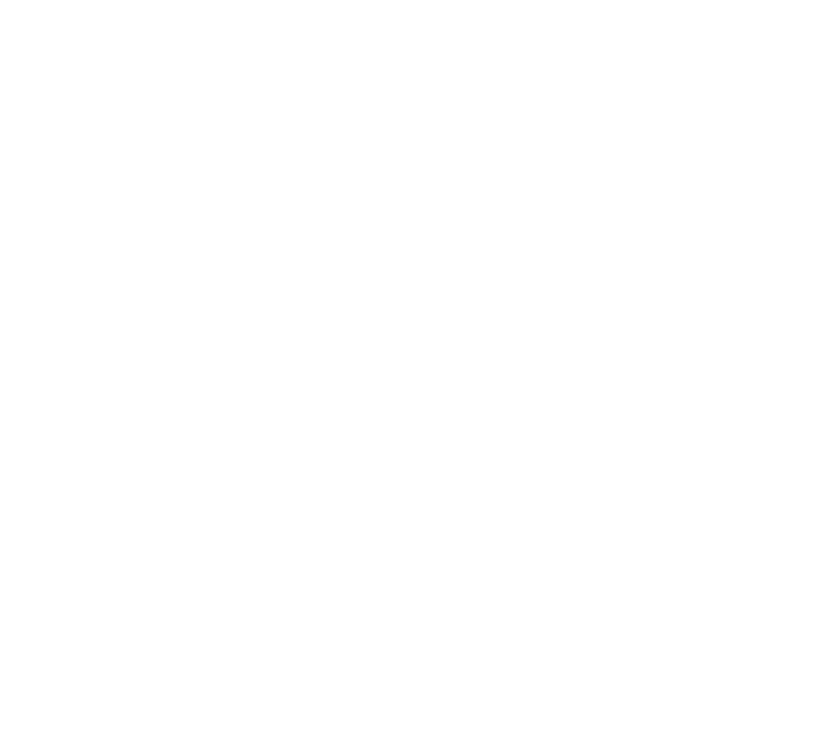 Algo Alpha